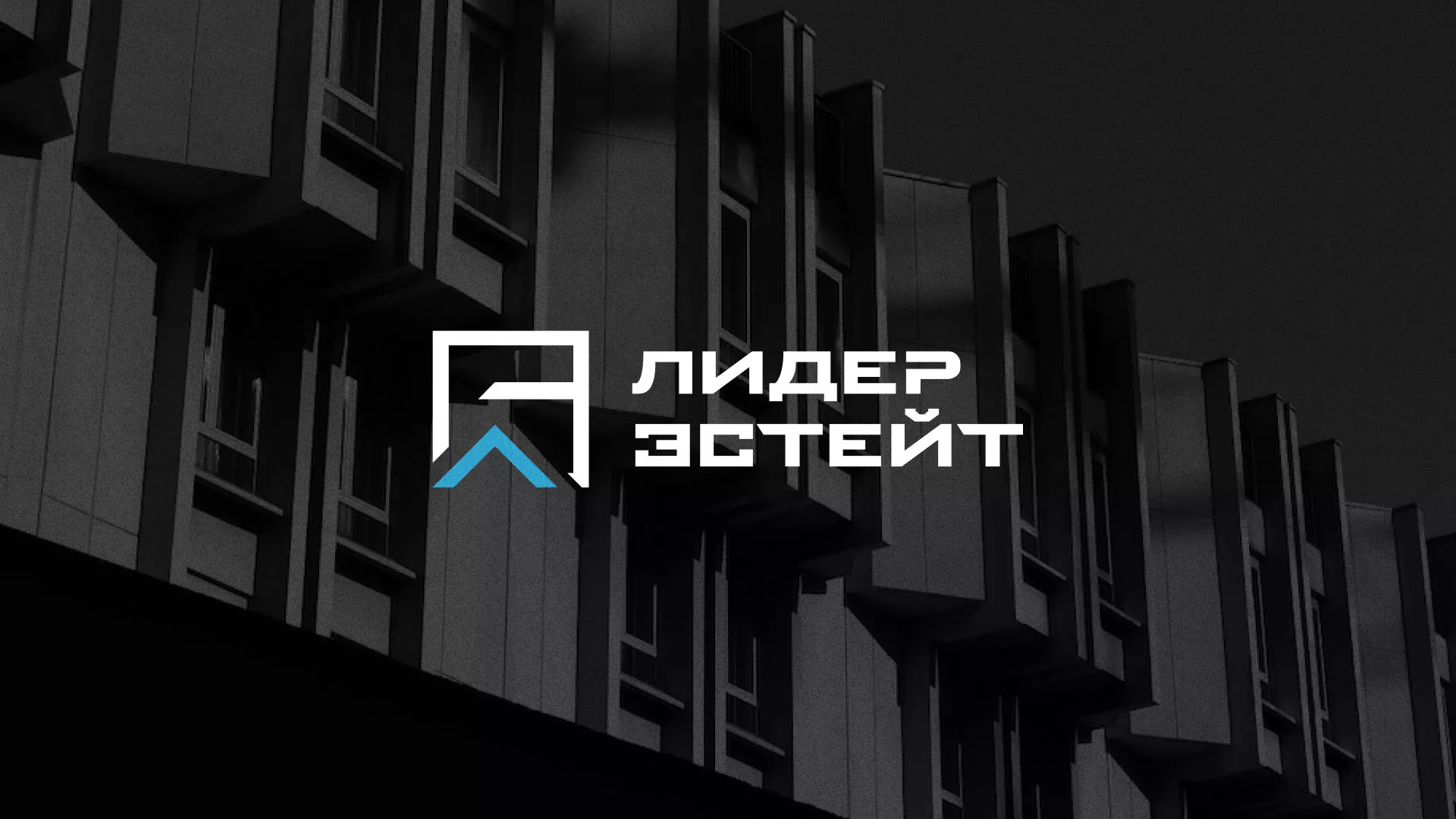 Разработка логотипа агентства недвижимости «Лидер Эстейт» в Десногорске